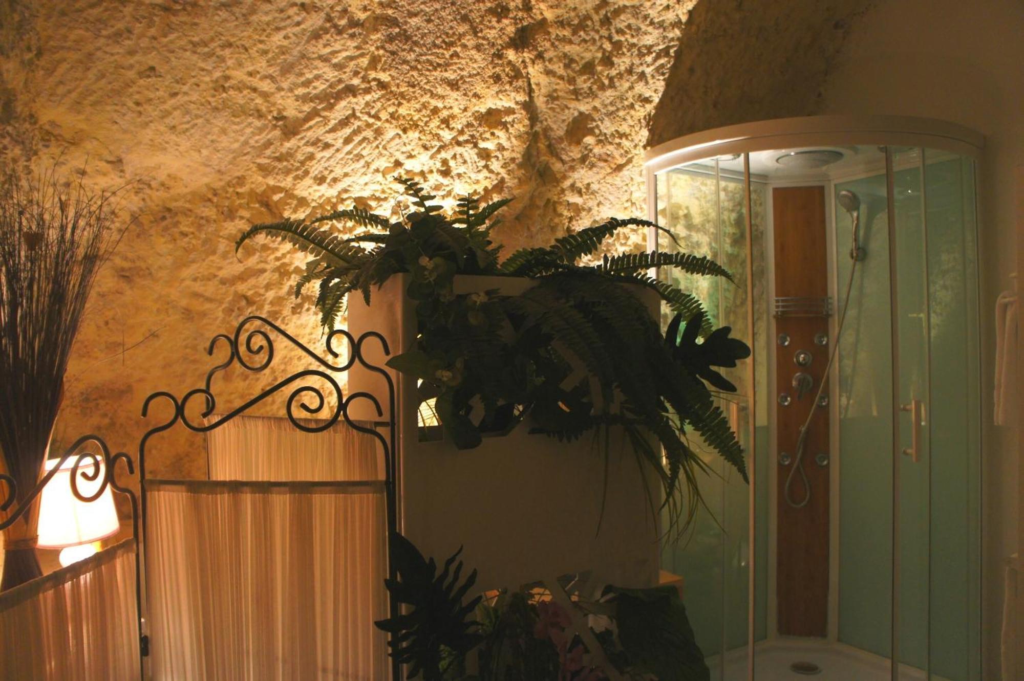 Chambres D'Hotes Troglodytes Le Clos De L'Hermitage อองบวส ภายนอก รูปภาพ